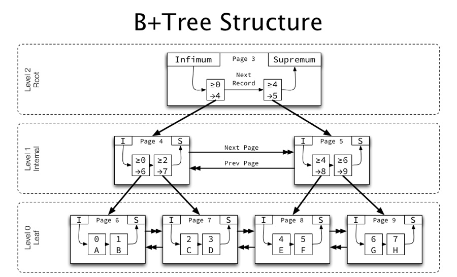 B+ Tree